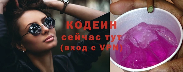 спиды Семёнов