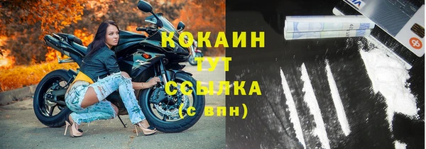 дживик Слюдянка