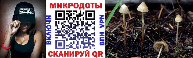 купить наркотики сайты  Янаул  Галлюциногенные грибы мухоморы 